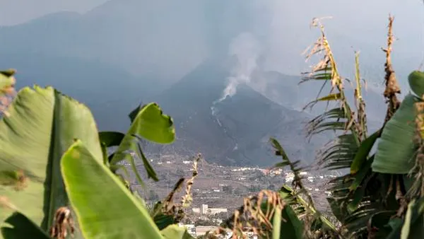 &iquest;Se podr&aacute; cultivar en el 'malpa&iacute;s' que genera la lava del volc&aacute;n de La Palma? As&iacute; quedar&aacute; la isla tras la erupci&oacute;n