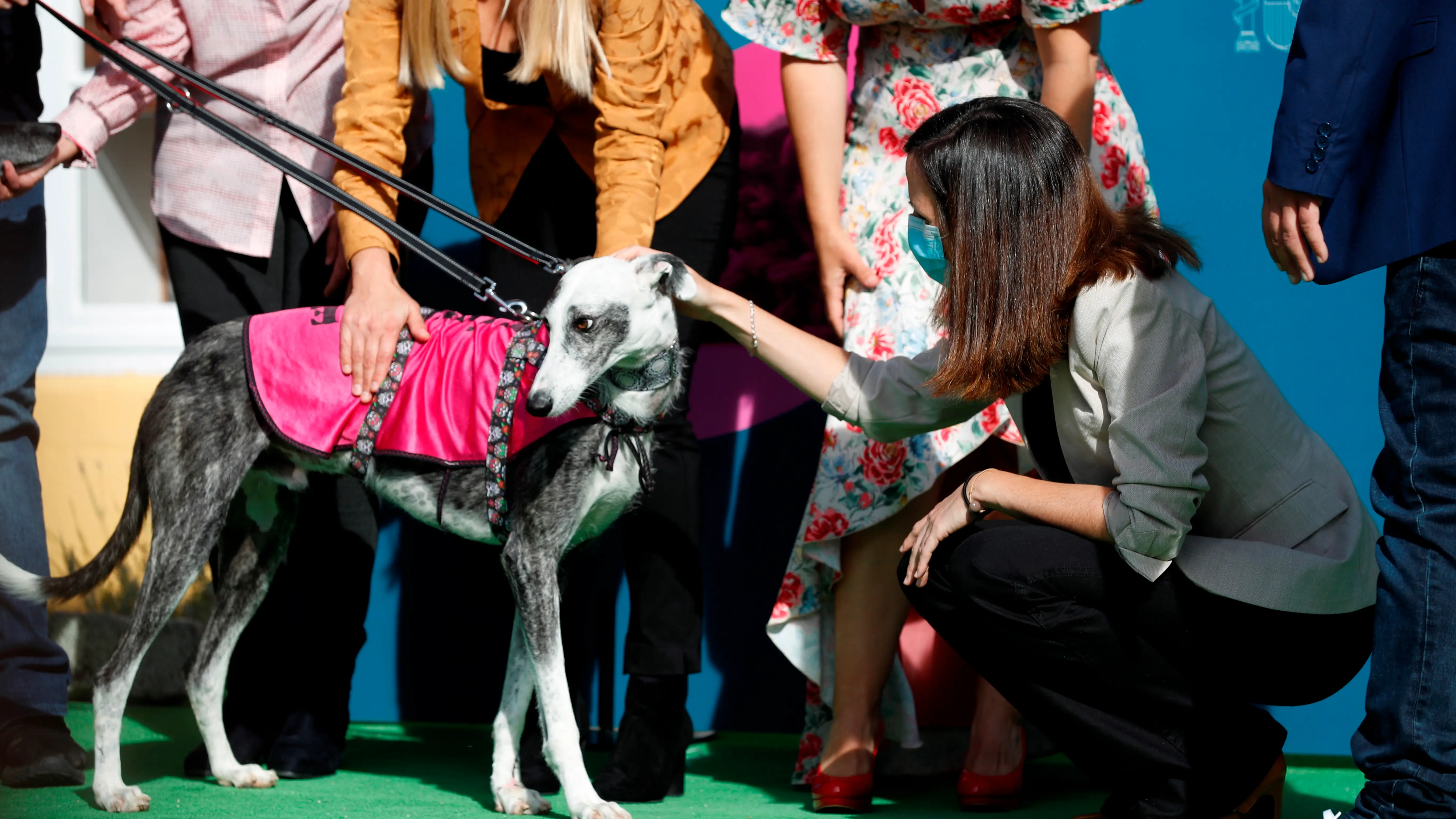 Los dueños de los perros estarán obligados a hacer un cursillo y a no dejar a sus mascotas solas más de 24 horas Los dueños de los perros estarán obligados a hacer un cursillo y a no dejar a sus mascotas solas más de 24 horas