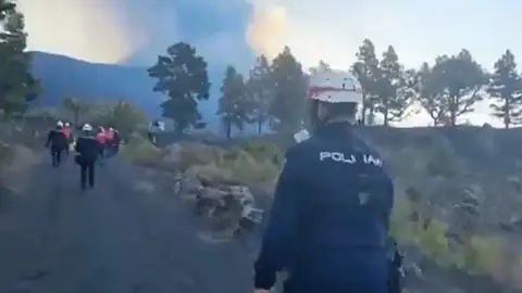 Los tedax llegan a La Palma Los tedax llegan a La Palma