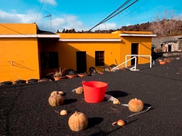 Una gruesa capa de ceniza y escoria cubre el techo de las viviendas del barrio de Las Manchas, en La Palma, y los terrenos adyacentes, dentro de la zona evacuada por su proximidad al volcán