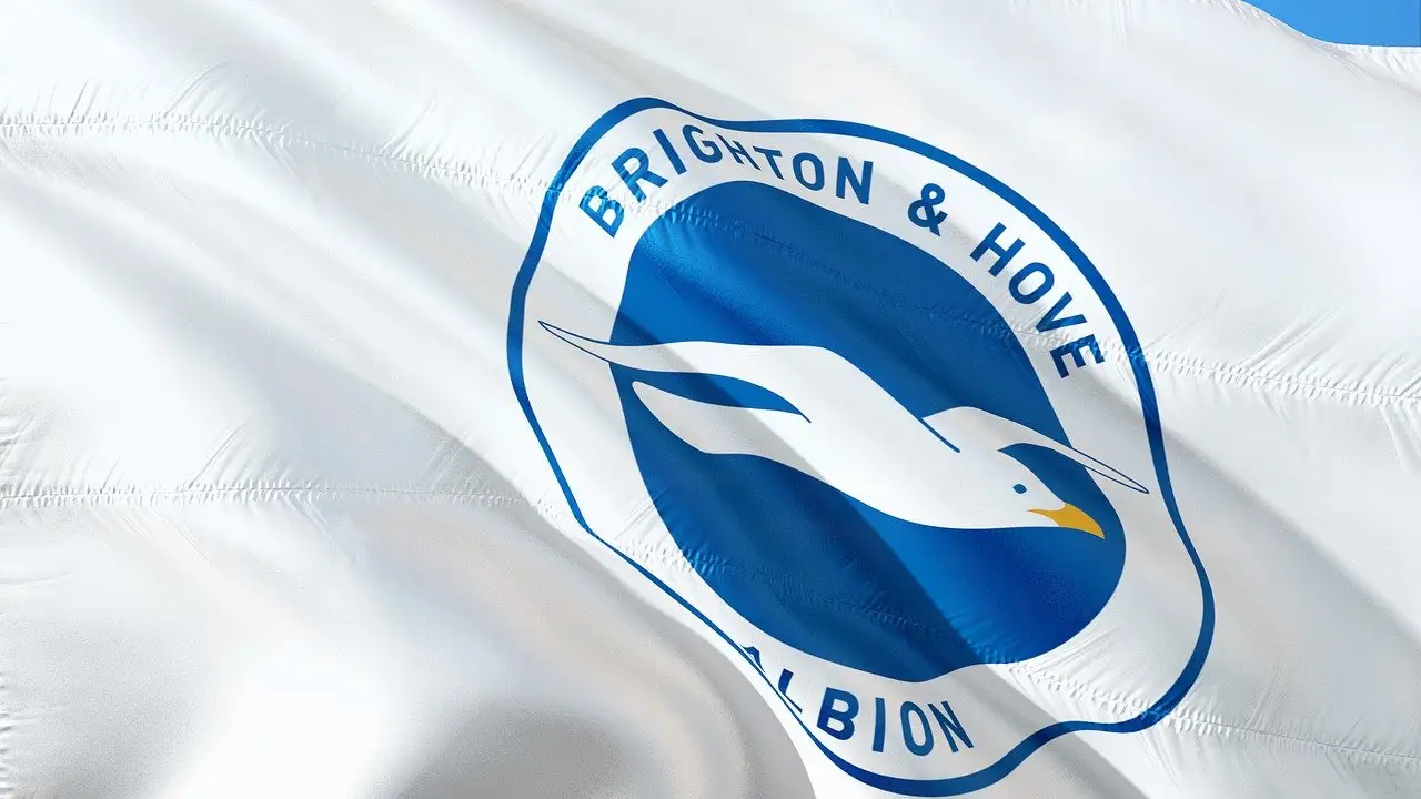 Brighton & Hove Albion Brighton & Hove Albion
