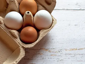 Huevos Huevos