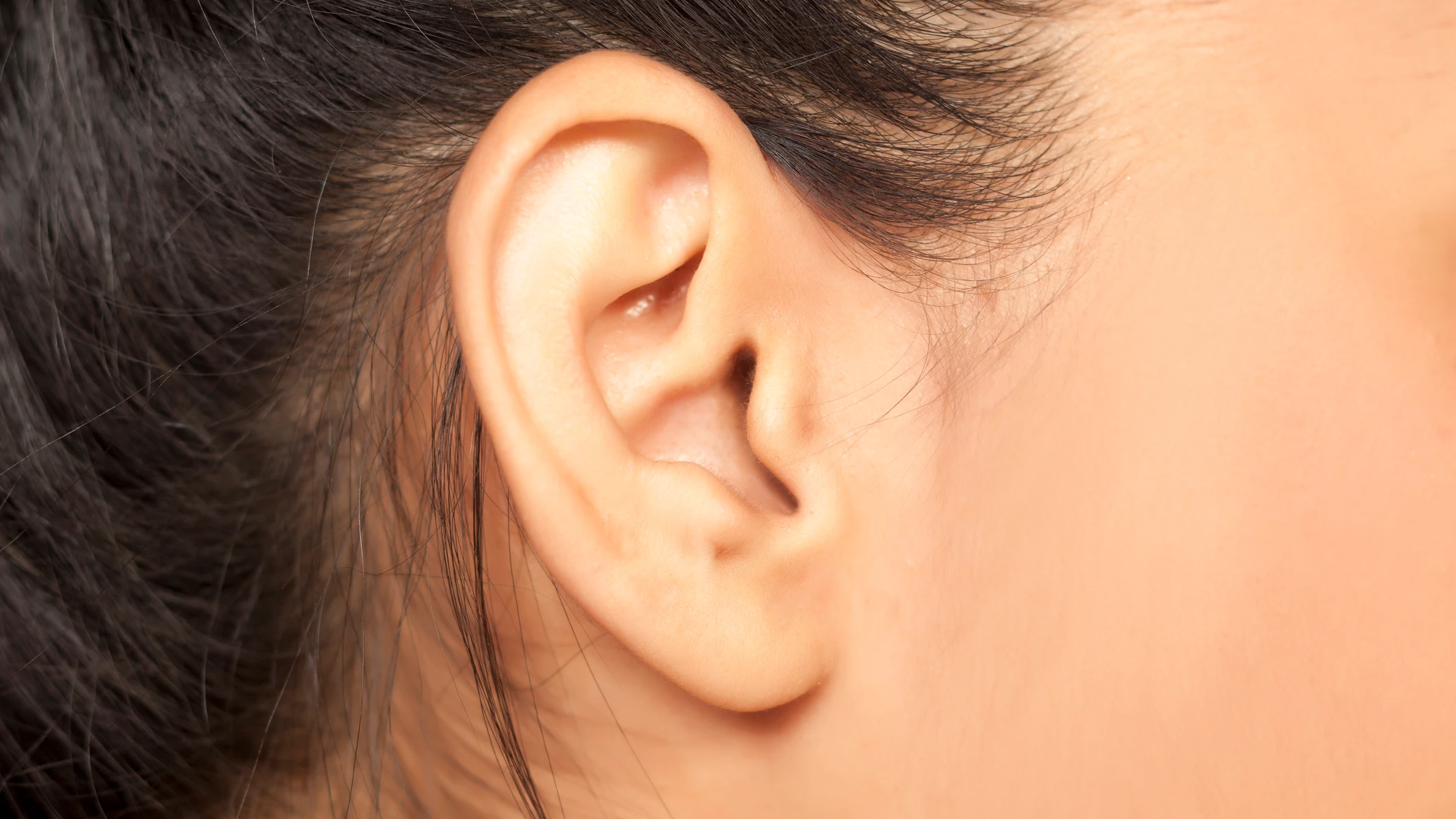 Oreja mujer Oreja mujer