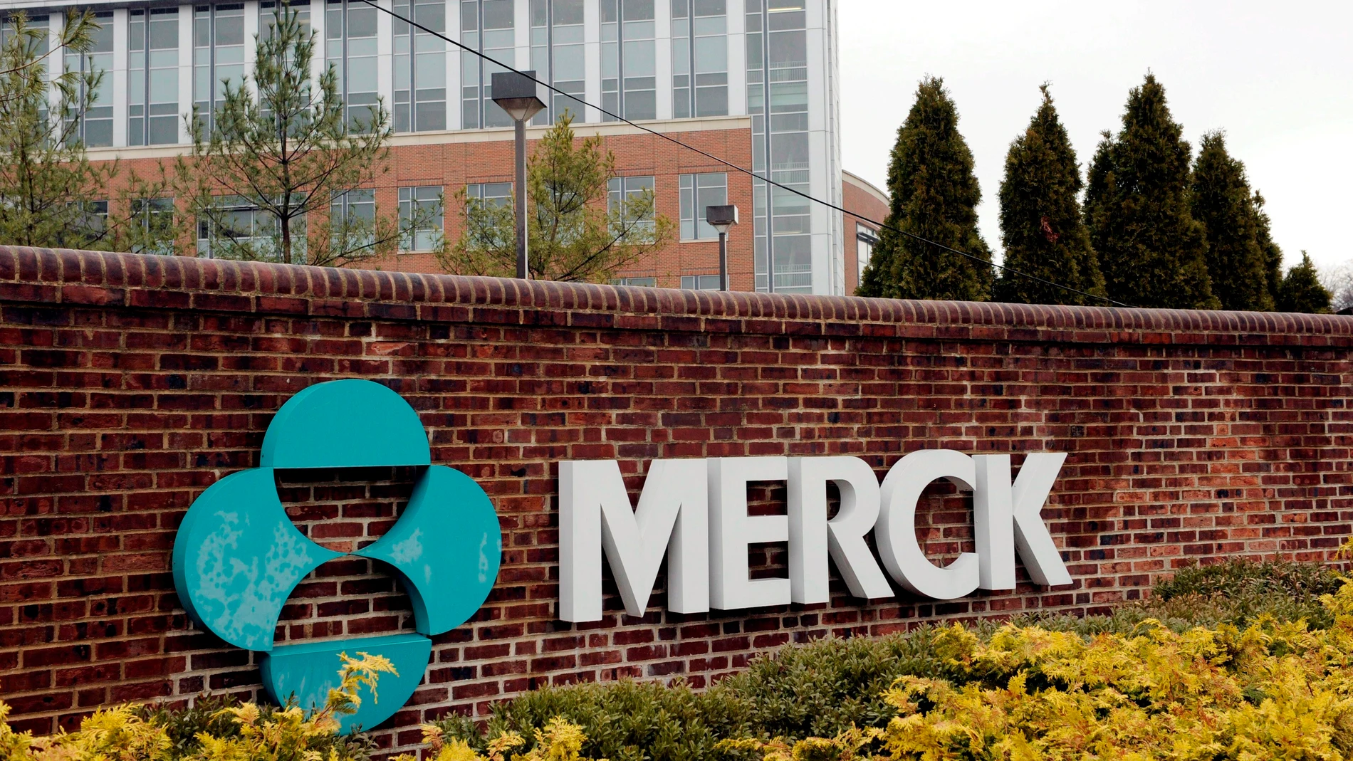 El logotipo de la compañía Merck &amp; Co