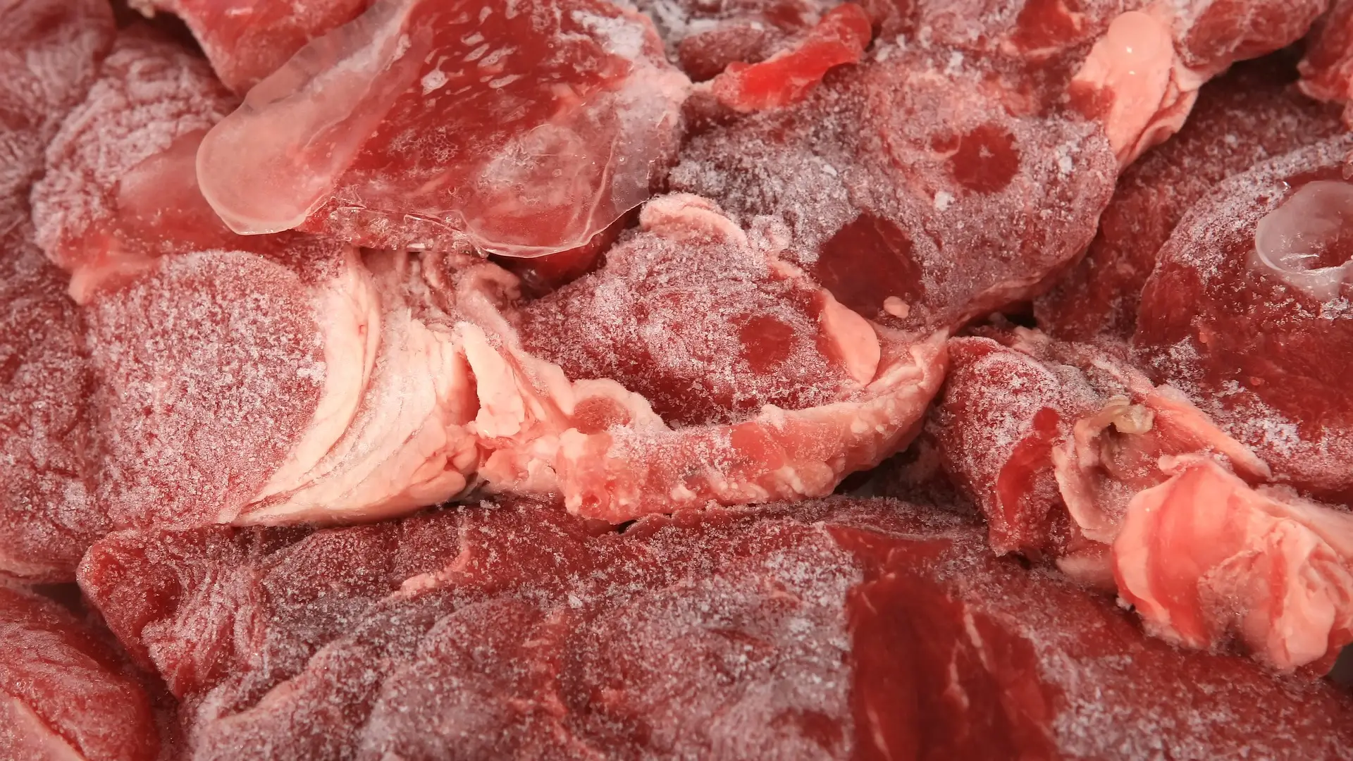 El peligro de descongelar la comida a temperatura ambiente