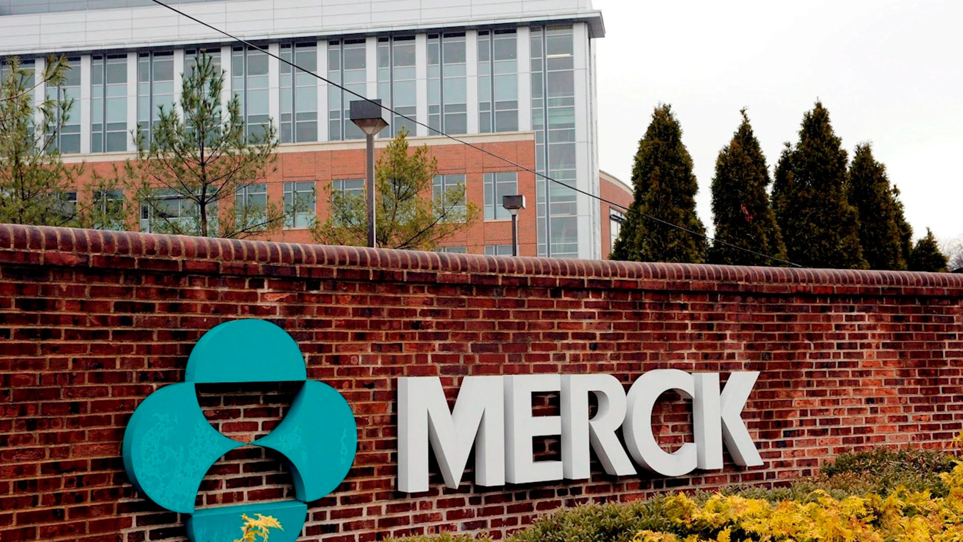 La farmacéutica Merck solicita una autorización de emergencia en EEUU para administrar su pastilla experimental contra la Covid