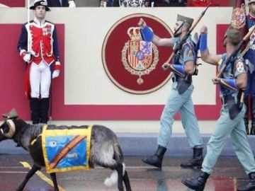¿Desaparecerá la cabra de la Legión del desfile de la Fiesta Nacional por la Ley de Protección Animal?