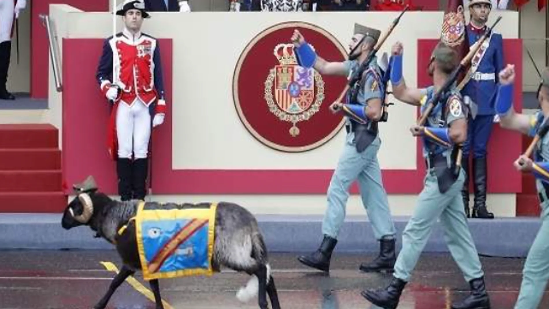 ¿Desaparecerá la cabra de la Legión del desfile de la Fiesta Nacional por la Ley de Protección Animal?