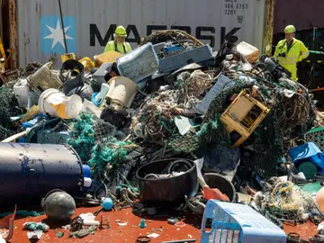 Las impresionantes imágenes de la ONG Las impresionantes imágenes de la ONG