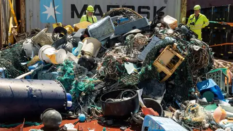 Las impresionantes imágenes de la ONG Las impresionantes imágenes de la ONG