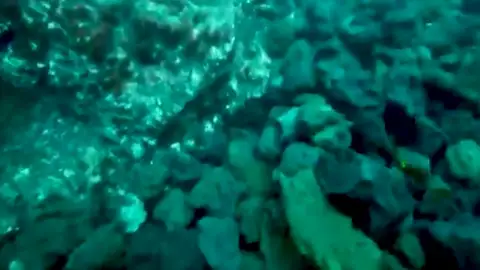 Fajana del volcán de La Palma bajo el mar Fajana del volcán de La Palma bajo el mar