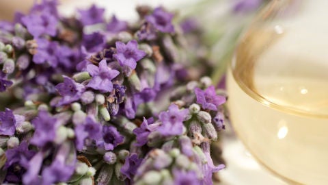 Lavanda
