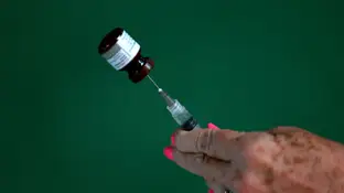 La OMS alerta de un brote de fiebre amarilla en Venezuela La OMS alerta de un brote de fiebre amarilla en Venezuela