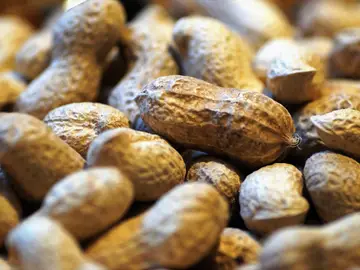 Los beneficios del cacahuete para la salud y sus propiedades