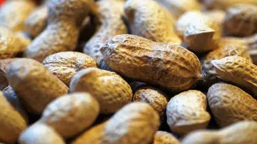 Los beneficios del cacahuete para la salud y sus propiedades