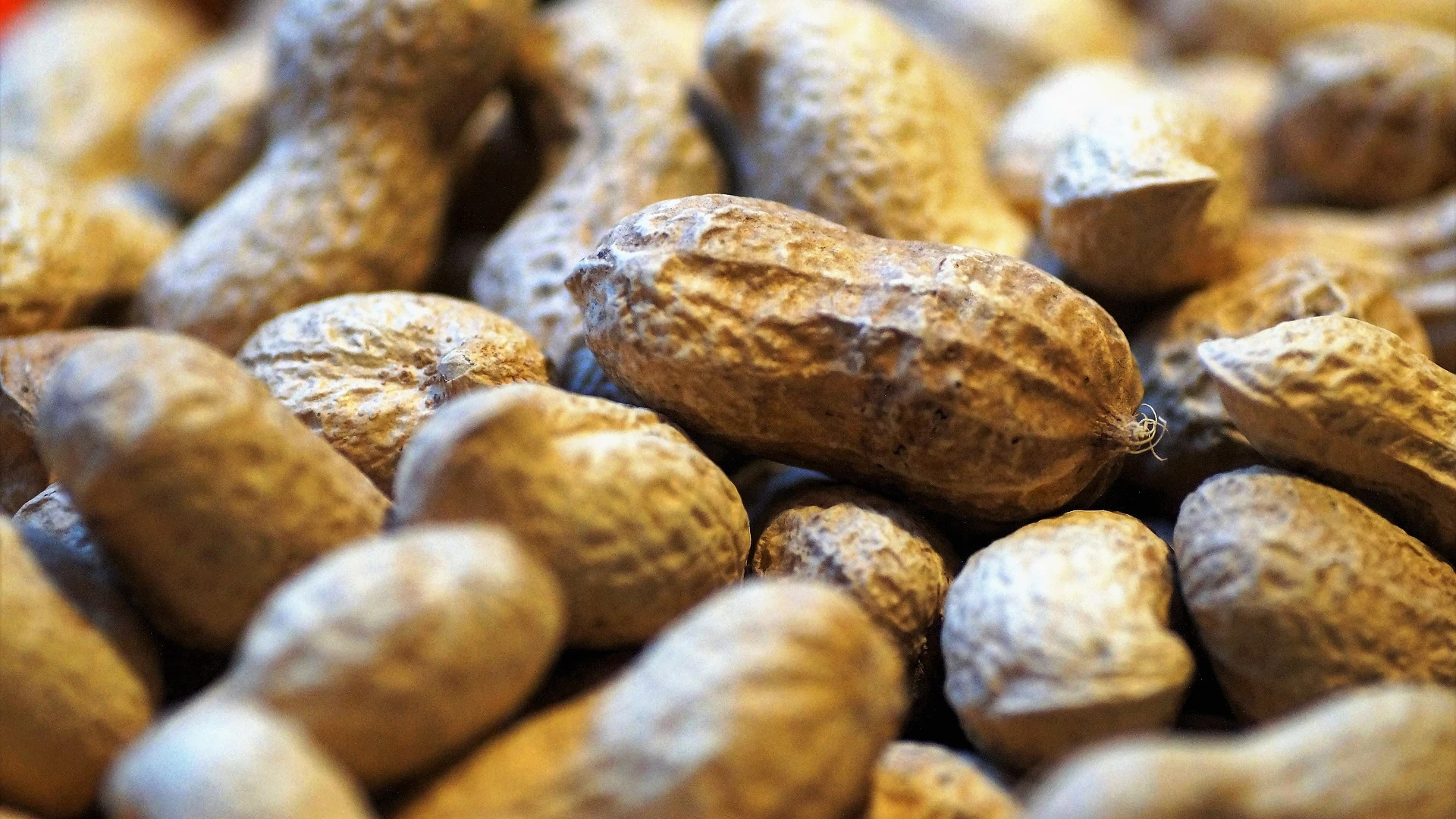 Los beneficios del cacahuete para la salud y sus propiedades Los beneficios del cacahuete para la salud y sus propiedades