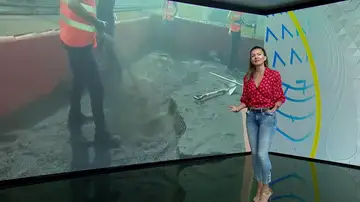 Himar sobre el volcán Himar sobre el volcán