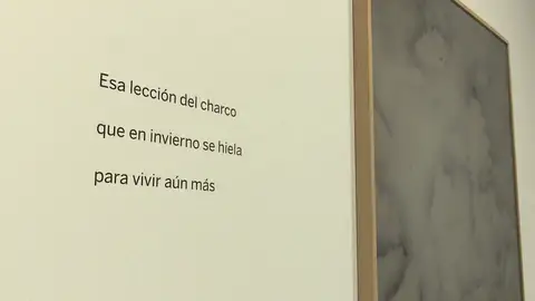 'Charcos y ballenas', una exposición que muestra fotografía y poesía en la Fundación BBVA 'Charcos y ballenas', una exposición que muestra fotografía y poesía en la Fundación BBVA