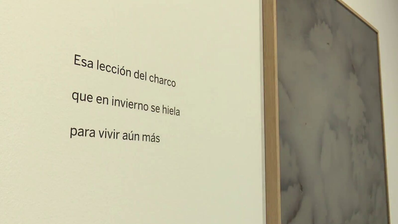 'Charcos y ballenas', una exposición que une fotografía y poesía en la Fundación BBVA