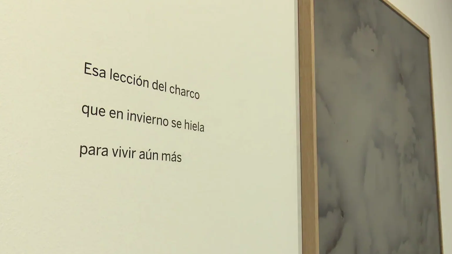 'Charcos y ballenas', una exposición que muestra fotografía y poesía en la Fundación BBVA 'Charcos y ballenas', una exposición que muestra fotografía y poesía en la Fundación BBVA