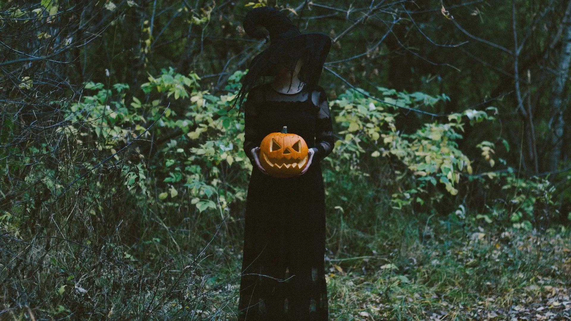Halloween Halloween
