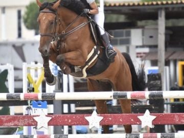 Muere una mujer de 43 años al recibir una coz de un caballo en un torneo de hípica en Navarra