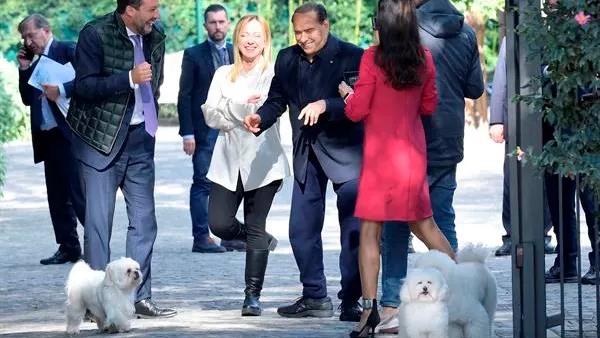 Silvio Berlusconi vuelve al terreno de juego político tras 8 meses fuera de Roma Silvio Berlusconi vuelve al terreno de juego político tras 8 meses fuera de Roma