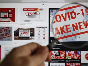 Imagen de la pantalla de un ordenador con un aviso de noticias falsas.