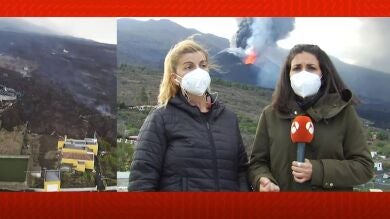 La desesperación de Verónica: 