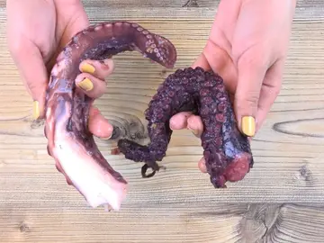 Pulpo de Marruecos y gallego Pulpo de Marruecos y gallego