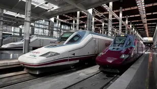 Trenes AVE (izquierda) y Avlo (derecha) de Renfe