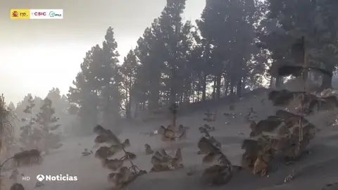 La ceniza del volcán de La Palma dificulta la vida de los vecinos de la isla La ceniza del volcán de La Palma dificulta la vida de los vecinos de la isla