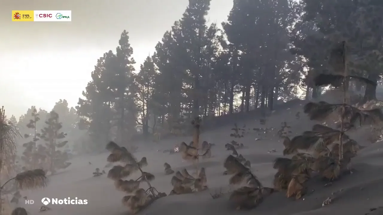 La ceniza del volcán de La Palma dificulta la vida de los vecinos de la isla La ceniza del volcán de La Palma dificulta la vida de los vecinos de la isla