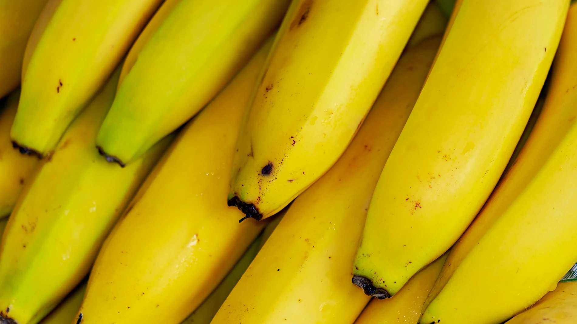 Fotografía de un plátano