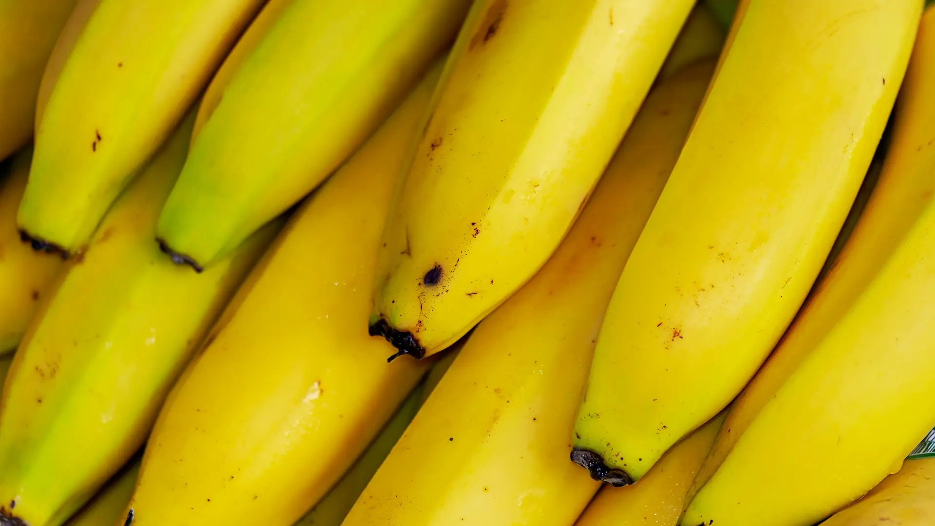 Fotograf&iacute;a de un pl&aacute;tano