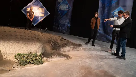 Andoni Bastarrika recrea una auténtica sabana africana ¡con 36 toneladas de arena! Andoni Bastarrika recrea una auténtica sabana africana ¡con 36 toneladas de arena!