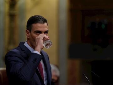 Pedro Sánchez, en el Congreso