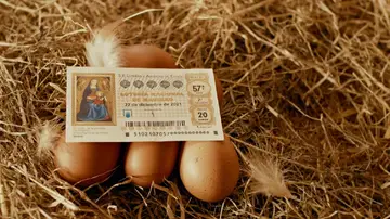 Anuncio Lotería de Navidad 2021 Anuncio Lotería de Navidad 2021