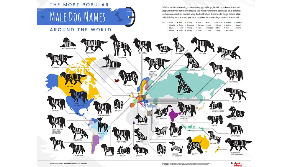 Nombres más comunes de perros en el mundo