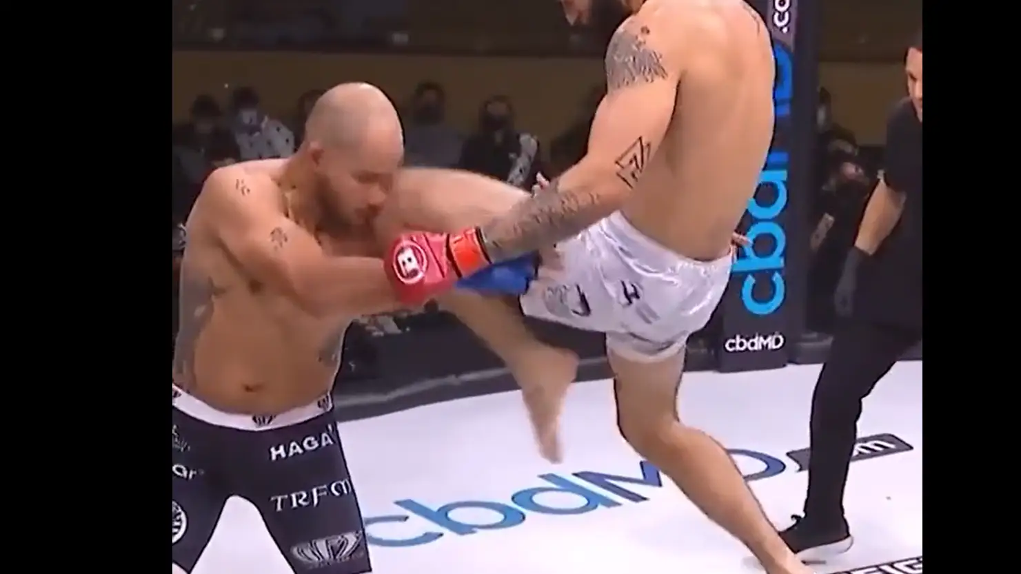 Roman Faraldo protagoniza uno de los mejores KO que se han visto en la MMA Roman Faraldo protagoniza uno de los mejores KO que se han visto en la MMA