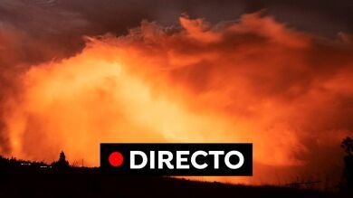 Volcán de La Palma, en directo: Actualidad y última hora del sábado 13 de noviembre