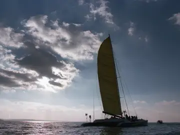 Un catamarán se hunde en Cartagena y rescatan a 33 personas, 8 están hospitalizadas Un catamarán se hunde en Cartagena y rescatan a 33 personas, 8 están hospitalizadas