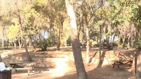 Parque de Canyada del Conill del Vedat, en Valencia. Parque de Canyada del Conill del Vedat, en Valencia.