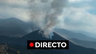 Volcán de La Palma, en directo: Actualidad y última hora del martes 16 de noviembre