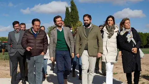 Pablo Casado anuncia que el PP se suma a las protestas del sector primario: "Hasta aquí hemos llegado" Pablo Casado anuncia que el PP se suma a las protestas del sector primario: "Hasta aquí hemos llegado"