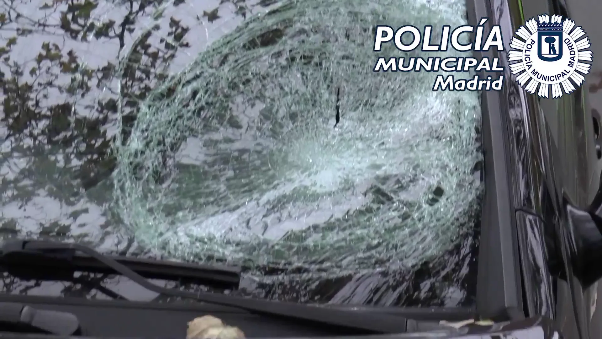 Detenido el conductor que atropell&oacute; mortalmente a una joven y se dio a la fuga en Madrid