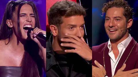 El TOP 5 del Asalto Final de ‘La Voz’: bonitas dedicatorias y actuaciones desgarradoras El TOP 5 del Asalto Final de ‘La Voz’: bonitas dedicatorias y actuaciones desgarradoras