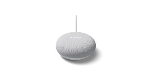 Google Nest MINI GRIS
