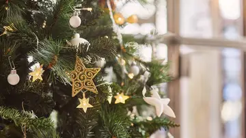 Dónde comprar el árbol de Navidad: Amazon, Carrefour, Leroy Merlín, El Corte Inglés Dónde comprar el árbol de Navidad: Amazon, Carrefour, Leroy Merlín, El Corte Inglés