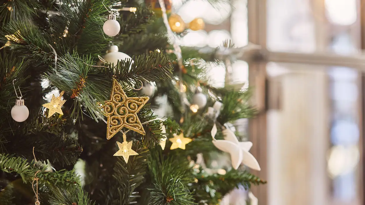  D&oacute;nde comprar el &aacute;rbol de Navidad: Amazon, Carrefour, Leroy Merl&iacute;n, El Corte Ingl&eacute;s